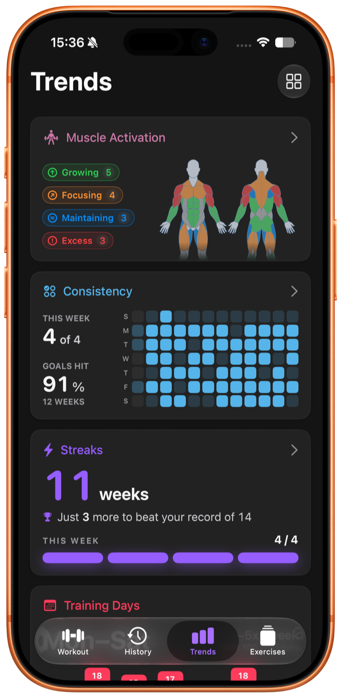 A screenshot of Steady for iPhone.
