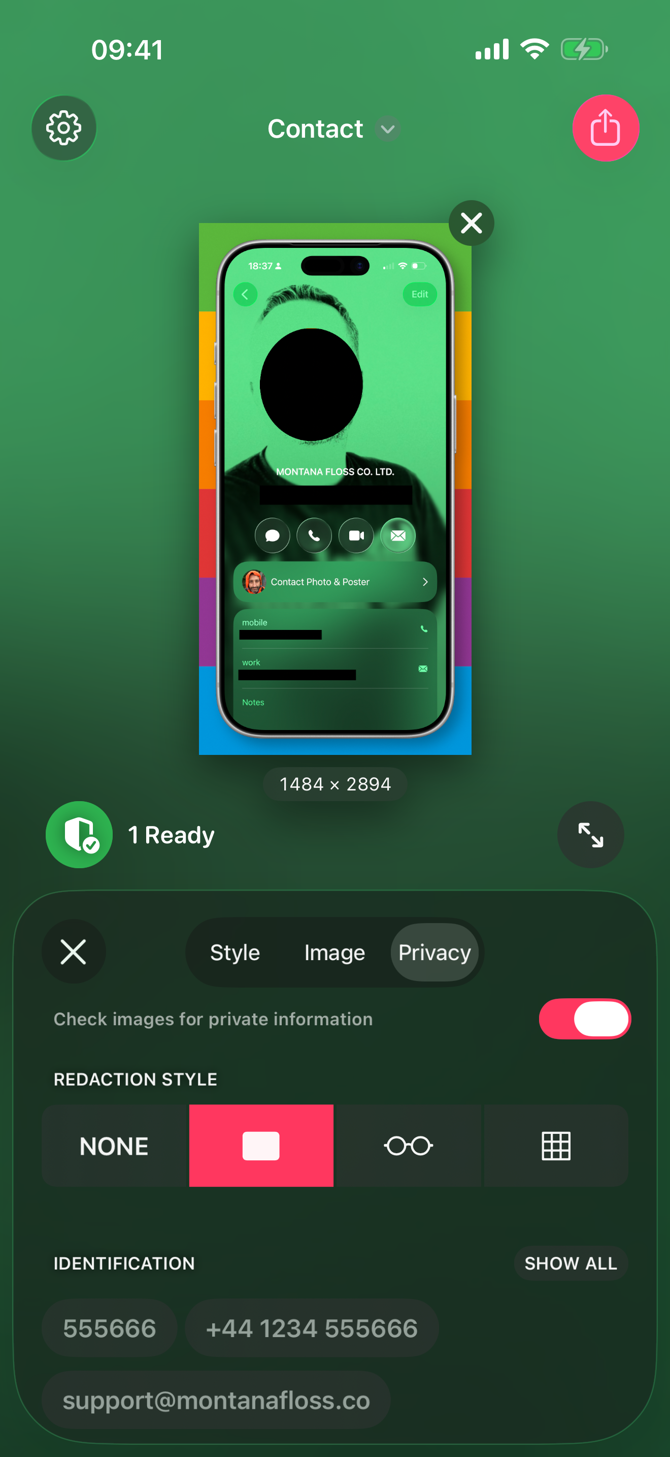Privacy Redactions